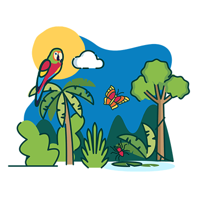 rainforest ecosystem illustration